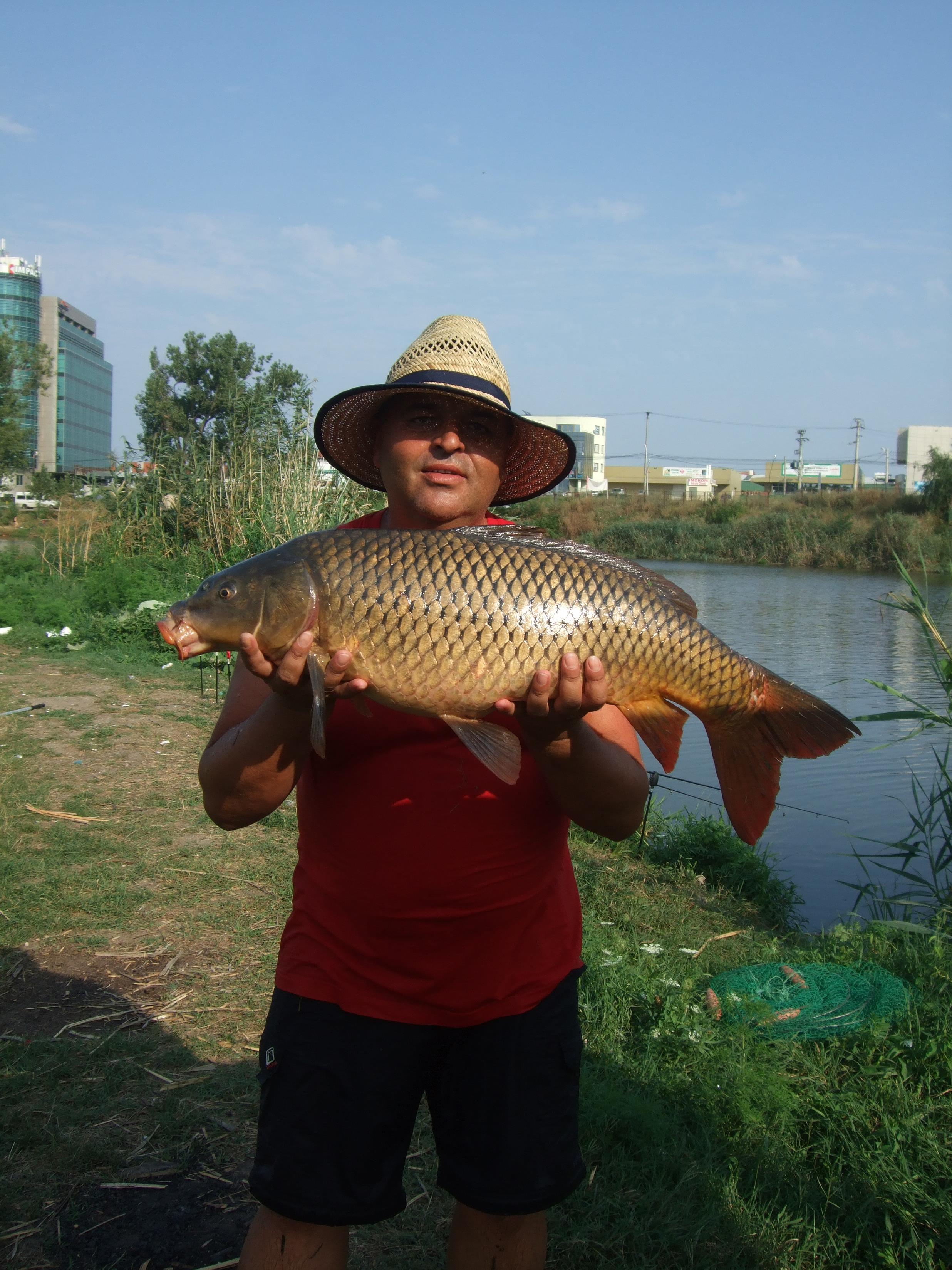 Petre GRS - Pipera 2012